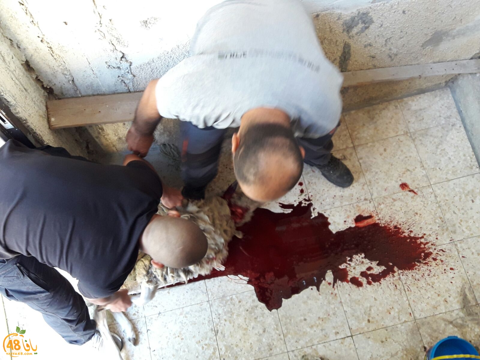 dab7 ada7y wu3ed (15).jpg